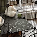 Miniatyrbillede 5 af 7: Rootz Dwarf Rabbit -kabinet - Lille kæledyr Hutch - Animal Habitat - Sikker og rummelig - 140 x 70 x 105 cm