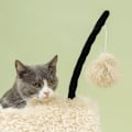 Miniatyrbild 8 av 10: Rootz Cat Tree Skrapstolpe - Design med svart nosad får - Tunnel och lekbollar - Enkel montering - Spånskiva och plysch - 48 cm x 34 cm x 98 cm