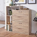 Miniatyrbillede 3 af 5: Rootz skab med 2 rum til klappen Skokiste 85x93 cm Skostativ til 12 par sko Commode Shoe tipper moderne