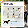 Miniatyrbild 4 av 10: Rootz 3 i 1 Dog Buggy - Pet Car Seat - Foldbar Carrier - Lätt design - 83 cm x 61 cm x 103 cm, blått, silver