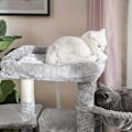 Miniatyrbild 6 av 8: Rootz Cat Scratching Post - Tall Scratcher - Cat Tree - Spånskivakonstruktion - 49cm x 45cm x 120cm