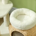 Miniatyrbild 4 av 7: Rootz Cat Scratching Post - Cat Climbing Tree - Cat Activity Center - Skyddar möbler - 60L x 40W x 79H cm