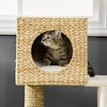 Miniatyrbild 8 av 9: Rootz Cat Tree Skrapstolpe - Flera nivåer Klätterträd - Mysigt katthus - Sisal Skrapstolpar - Spånskiva Ram - 57cm x 37cm x 100,5cm