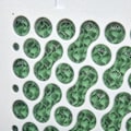 Miniatyrbild 6 av 7: Rootz Air Cooler - Mobil luftkonditionering - Med luftfuktning - Vattenkylande luftkonditionering - 8h Timer Fjärrkontroll - Vit/Svart - 38,2 x 31,6 x