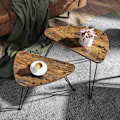 Miniatyrbillede 2 af 7: Rootz Sideborde Sæt med 2 - Sofabord Træ - Industrielt Sofabord - Brun/Sort - 60 x 38 x 47,5 cm (LxBxH)