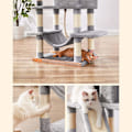 Miniatyrbild 8 av 9: Rootz Multi-Level Cat-skrapstolpe - Kattträd - Kattlägenhet - Material av hög kvalitet - Mysigt plyschskydd - Interaktiva lekfunktioner - Skyddar möbl