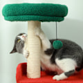 Miniatyrbillede 8 af 11: Rootz 135 cm Cat Scratching Post - Christmas Cat Tree - Play Tower - 6 niveauer af sjov - 60L x 45W x 135H cm