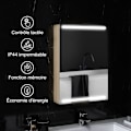Miniatyrbild 4 av 6: Rootz LED Mirror Cabinet - Badrumskåp - Väggmonterad förvaring - Justerbara glashyllor - 50x12.5x70cm