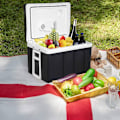 Miniatyrbild 2 av 8: Rootz 50L Portable Electric Cooler Warmer - Resekyl - AC/DC Adapter - Stor kapacitet - Tyst teknik - 60cm x 41cm x 42cm