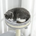 Miniatyrbillede 8 af 10: Rootz Cat Klatretræ - Kradsestolpe - Cat Tree Tower - Cat Activity Center - Plys - Sisal Reb - Underholdning - 59cm x 35cm x 100cm
