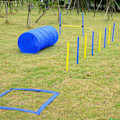 Miniatyrbillede 9 af 11: Rootz Dog Agility Tunnel - Gul, Blå - Pe, Polyester - 58,26 cm x 60 cm x cm