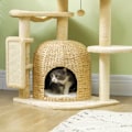 Pikkukuva 9 / 10: Rootz Cat Tree - Leikkikeskus - Raaputustolppa - Mukava riippumatto - Pehmeä pehmo - 56cm x 48cm x 112cm