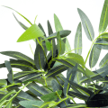 Miniatyrbillede 4 af 7: Rootz kunstig plante - kunstig bambus - kunstig bambus træ plante - Hjem - kontor - Grøn + Sort - 20cm x 20cm x 180cm