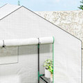 Pikkukuva 9 / 11: Rootz Walk -in Greenhouse, jossa hyllyt - mini -Greenhouse - UV -resistentti - Optimaalinen ilmanvaihto - 143L x 74B X 190H CM