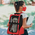 Pikkukuva 4 / 8: Rootz Dog Carrier - Lemmikkien reppu - 2-in-1 -malli - Jatkettava kahva - Sivutaskut - Punainen - 42 x 25 x 55 cm