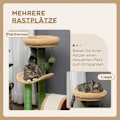 Miniatyrbild 4 av 10: Rootz Cactus Design Cat Tree - Skrapstolpe - Klätterkattträd - Sisallindade stolpar - Spånskiva Bas - Teddy Velour - 40cm x 35cm x 72cm
