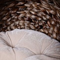 Miniatyrbillede 6 af 9: Rootz katteseng - brun, hvid - jern, bomuld, flannel - 16,53 cm x 12,99 cm x 20,47 cm
