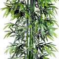 Miniatyrbillede 5 af 7: Rootz kunstig plante - kunstig bambus - kunstig bambus træ plante - Hjem - kontor - Grøn + Sort - 20cm x 20cm x 180cm