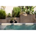 Miniatyrbillede 2 af 8: Rootz Styly Black Vase - Terracotta Masterpiece - Eartancware - Coastal Vibes - 29 cm x 29 cm x 23 cm