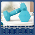Miniatyrbillede 4 af 6: Rootz Dumbbell Set - 3 par - håndvægte - Neoprenbelagt - Styrke muskler - 1 kg/2 kg/3 kg - 13,5x6,5x6cm, 16x8x7,5 cm, 20x9x8,5 cm