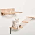 Miniatyrbild 7 av 10: Rootz klättervägg för katter - Katts klättervägg med skrapstolpe - Katttrappa - Hängmatta för kattmöbler - Sisal Akrylfuru - Ljusbrun - 100L x 25,5W x