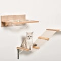 Miniatyrbillede 7 af 10: Rootz klatrevæg til katte - Katteklatrevæg med kradsestolpe - Kattetrappe - Kattemøbler Hængekøje - Sisal Akryl Fyr - Lysebrun - 100L x 25,5W x 17,5H