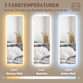 Miniatyrbild 6 av 11: Rootz full längd LED -spegel - dimbar - ramlös - beröringskontroll - förbättra rummet - 40 cm x 120 cm