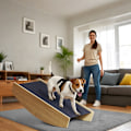 Pikkukuva 2 / 11: Rootz Agility Dog Swing - 2 -in -1 -rokkari ja portaat - liukumaton lemmikkiramppi - FIR Wood - parantaa tasapainoa ja ketteryyttä - 80 cm x 39,5 cm