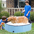 Miniatyrbillede 11 af 11: Rootz Pet Swimming Pool - Hundepool - Soppebassin - Swimming Pool - Hundebad - Sammenklappelig - PVC+ Træ - Blå