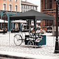 Miniatyrbild 2 av 9: Rootz Garden Gazebo - Utomhustak - Solskydd - UV-skydd - 2m x 2m x 2,4m - Metallram - 210D Oxford-tyg