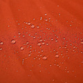 Miniatyrbild 10 av 10: Rootz Ersättningstak för trädgårdspaviljong i metall - Terra - Polyester - 118,11 cm x 118,11 cm x cm