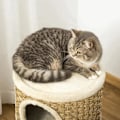 Miniatyrbillede 7 af 10: Rootz Cat House - Kattekradsestolpe - Kattetræ - Katteklatretræ Kattemøbler - 37,5 x 37,5 x 70 cm