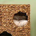 Pikkukuva 9 / 10: Rootz Cat Tower - Kissan raapimispylväs - Kissan asunto - Vesihyasintti - Monitasoinen - Pestävät tyynyt - 40cm x 31cm x 76cm