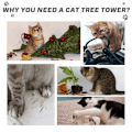 Miniatyrbild 7 av 10: Rootz Cat Tree - Play Tree - Scratching Post - Cats 2-tier Scratching Tree - E1 Chipboard - Grey - 45 x 45 x 91 cm