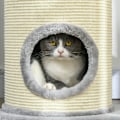 Miniatyrbillede 9 af 10: Rootz Cat Klatretræ - Kradsestolpe - Cat Tree Tower - Cat Activity Center - Plys - Sisal Reb - Underholdning - 59cm x 35cm x 100cm