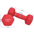 Pikkukuva 3 / 7: Rootz käsipainot - Halterset - Setti pakettiauto 2 - 2 x 3 kg - Rood - 20 x 9 x 8,5 cm