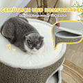 Miniatyrbild 6 av 11: Rootz 3 Tier Cat Barrel With Cushion - Cat House - Cat Tower - Förbättra komforten - Ø51cm x 69 cm, brunvit