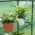 Pikkukuva 5 / 9: Rootz Foil Greenhouse - Puutarhakasvihuone - Kasvisuoja - Optimaalinen ilmanvaihto - Kestävä rakenne - Helppo koota - 143cm x 143cm x 195cm