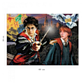 Miniatyrbild 4 av 6: Pussel 150 p - Harry Potter Flerfärgad