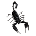Miniatyrbild 4 av 6: Fridolin - 3D-modell i papper Skorpion Svart