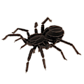 Miniatyrbild 3 av 4: Fridolin - Pappersmodell 3D Tarantula Svart
