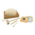 Miniatyrbild 2 av 6: Dinosaur Dig Game - Buki - Mega Dino Egg - 4 Dinosaur Pussel - Verktyg ingår Flerfärgad