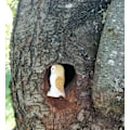 Miniatyrbild 4 av 5: Wudimals - Barnugglefigur - K-PLAY Beige