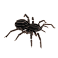 Miniatyrbild 1 av 4: Fridolin - Pappersmodell 3D Tarantula Svart