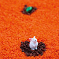 Pikkukuva 4 / 4: Äänitunnepullo Pupuna Flerfärgad