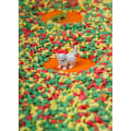 Miniatyrbild 2 av 6: Sensorisk flaska Spy Djur Grön