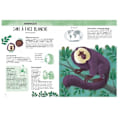 Pikkukuva 2 / 4: Sassi Junior - Biodiversiteetti Atlas - Erikoiset ja uteliat eläimet Vit