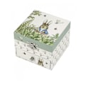 Miniatyrbild 1 av 4: Peter Rabbit©© Cube Music Box - TROUSSELIER - Dragonfly - Baby - 3 månader - Grön - Blandat