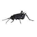 Miniatyrbild 4 av 6: Fridolin - Pappersmodell 3D Cricket Svart