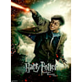 Pikkukuva 3 / 3: Puzzle Harry Potter 100 palaa XXL - Harry Potterin taikamaailma - Ravensburger